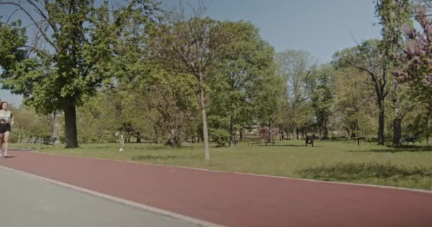 Молода Атлетична Жінка Біжить Червоній Доріжці Сонячному Зеленому Парку Насолоджуючись Відеокліп