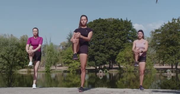 健康的なライフスタイルとアウトドアエクササイズを描いた 晴れた公園の設定で脚を伸ばす運動ウェアにフィットする女性のトリオ — ストック動画