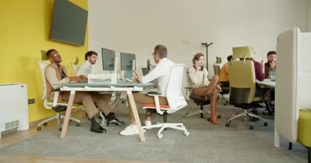 Dobrze Zorganizowanej Przestrzeni Biurowej Skoncentrowani Pracownicy Biznesowi Zajmują Się Pracą — Wideo stockowe