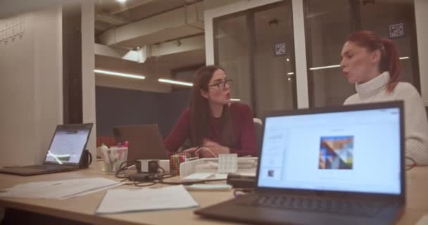 Twee Gefocuste Professionele Vrouwen Die Samenwerken Een Hedendaags Kantoor Laptops — Stockvideo