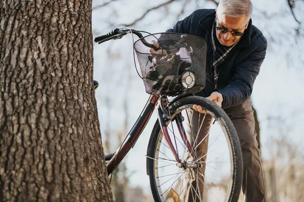 晴れた日に公園で自転車を修理するアクティブシニアマン ロイヤリティフリーのストック写真