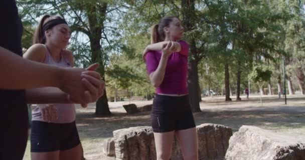 公園で明るい晴れた日に屋外に出てフィットネスセッションの準備をしている運動女性のグループ 外でスポーツルーチンをしている3人の女の子 — ストック動画
