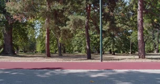 Fleksibel Atletisk Kvinde Udfører Vejrmølle Løbebane Park Indstilling – Stock-video