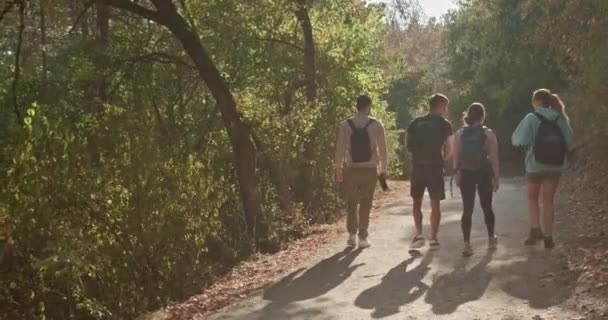健美的朋友们漫步在秋天的森林里 享受着阳光灿烂的一天 讨论着各种话题 他们探索自然景观 进行体育活动和穿运动服 — 图库视频影像