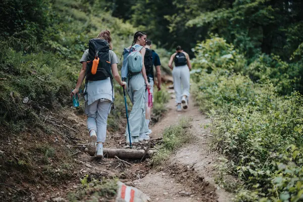 stock image Group of friends hiking through a lush green forest trail, enjoying outdoor adventure and nature.