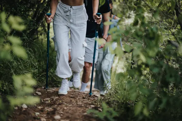 stock image Group of friends hiking on a scenic forest trail with trekking poles, enjoying outdoor adventure, fitness, and nature.