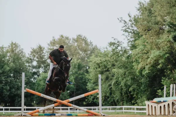 stock image A man expertly rides a horse and jumps over obstacles during an equestrian training session in an outdoor arena surrounded by greenery.