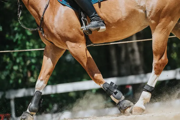 stock image Close-up shot of a rider training a horse outdoors in an equestrian arena, showcasing the horses legs and riding gear.