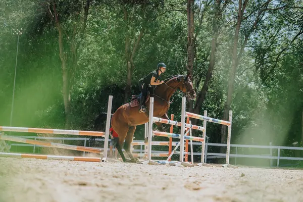 stock image Equestrian athlete and horse jumping over a hurdle during a competition on a sunny day in an outdoor arena.