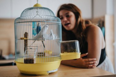 A woman observes two pet birds in a vibrant cage. The scene captures a cozy home environment, emphasizing companionship and domestic life with animals. clipart