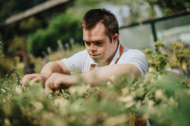 A young gardener with Down syndrome attentively works in a lush garden, showcasing dedication and passion for horticulture in a beautiful outdoor setting. clipart