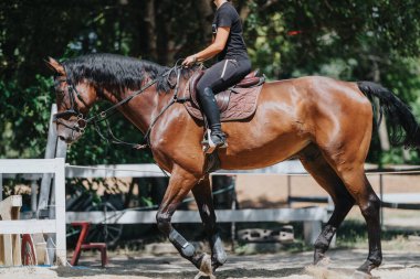 Young person riding a brown horse in an outdoor equestrian training area, showcasing skill and control in a sunny and natural setting. clipart