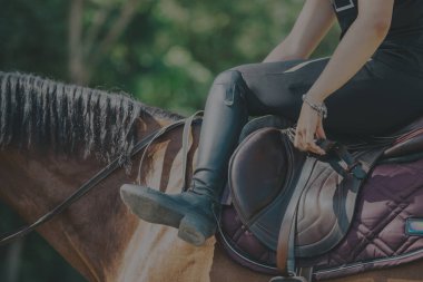 A close-up of a rider in black equestrian gear sitting on a brown horse, highlighting the details of the saddle and reins, set against a green outdoor background. clipart