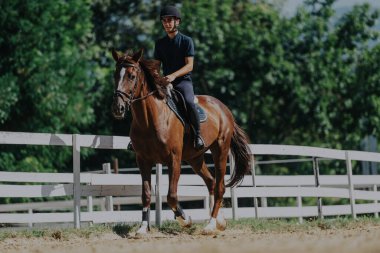 A young equestrian confidently rides a brown horse in a sunny outdoor arena. The scene captures the essence of horsemanship and the beauty of equestrian sports. clipart