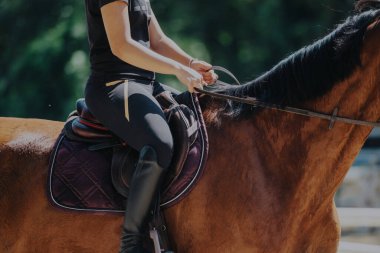 A rider in black clothing sits confidently on a brown horse, emphasizing the connection and control in equestrian activities. The image showcases the details of horseback riding gear and posture. clipart