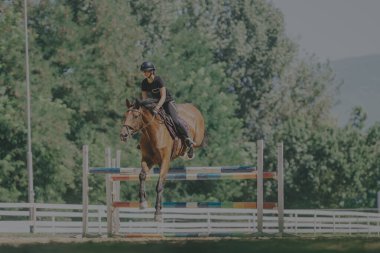 A young rider skillfully guides a horse over a colorful hurdle in an outdoor equestrian setting. The scene captures the dynamic movement and connection between horse and rider amidst lush greenery. clipart