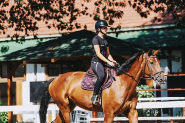 A young woman practicing horseback riding on a chestnut horse. She is wearing protective gear, enjoying the sunny day. The background features a stable with trees providing shade. clipart