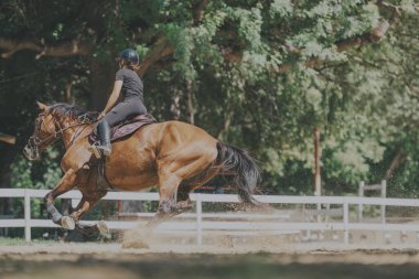 A woman skillfully rides a horse in an outdoor arena surrounded by lush greenery, demonstrating equestrian agility and connection with the animal during a sunlit horse riding competition. clipart