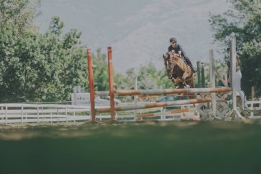 A skilled equestrian navigates a jump with grace and precision in a picturesque outdoor arena. The lush greenery and mountainous backdrop enhance the dynamic equine activity. clipart