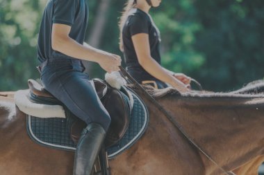 Two horseback riders are pictured from the waist down, wearing riding gear, as they navigate through a verdant, outdoor environment, capturing the essence of equestrian sport and connection with clipart