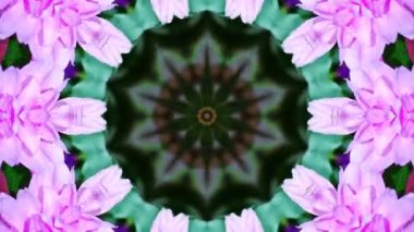 Loop Keleidoscope Garden 8 - 4K