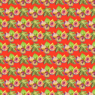 Kusursuz desenli incir ve yapraklar. Yaz ve bahar suluboya resimleri. Menekşe tonları içinde meyve dokusu. Taze ve parlak bir tasarım. Kumaşa baskı yapan bir poster olarak kullanılabilir. Doğa. Yiyecek.