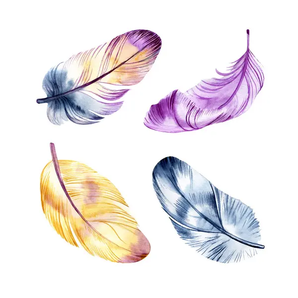Hand drawn watercolor paintings vibrant feather set. Boho style wings. illustration isolated on white. Bird fly design for T-shirt, invitation, wedding card.Rustic Bright colors