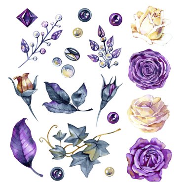 Suluboya çiçek seti. Mor gül, kristal ve inci. Elle boyanmış soyut botanik çizimler. Düğün kağıtları, kart baskısı, pankartlar için beyaz çiçeklere izole edilmiş..