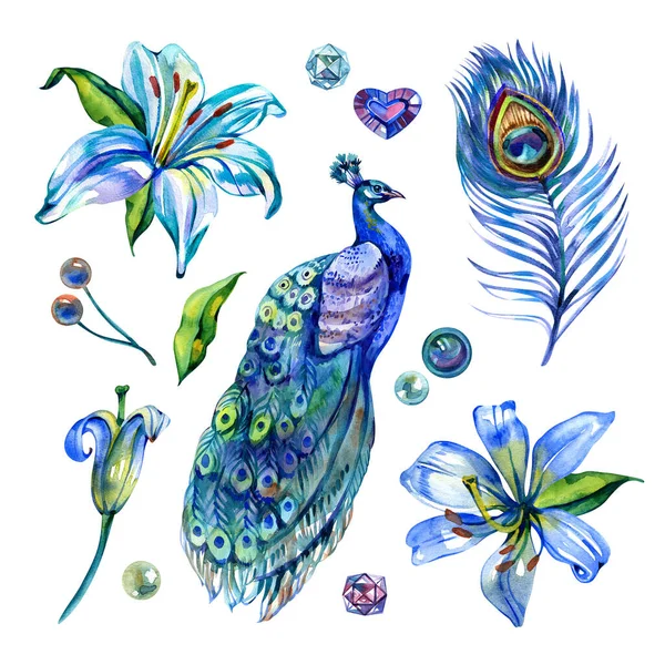 Beautiful hand drawn  illustration set with peacock. Perfect for wallpapers, web page backgrounds, surface textures, textile. Isolated on white background.