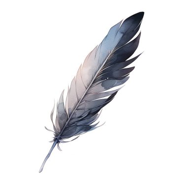 Suluboya güzel siyah tüy beyaz arkaplanda izole.