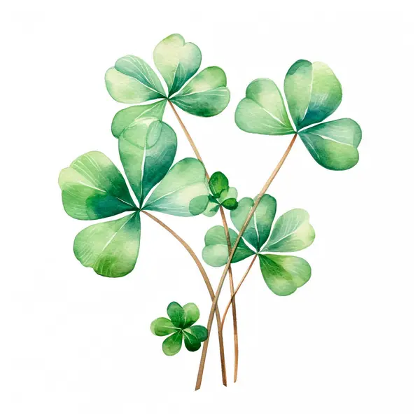 Lucky clover leaves with four leaf. Patricks day watercolor clipart.