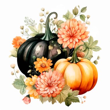 Parlak balkabaklarıyla suluboya cadılar bayramı resmi, siyah çiçekler ve yapraklar, elle çizilmiş kemikler. Etiket, davetiye, poster, ambalaj, tasarımlar, kartlar için Cadılar Bayramı illüstrasyonu.