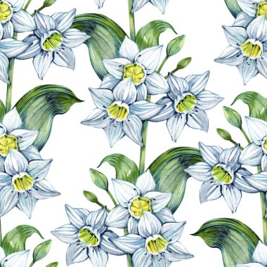 Eucharis zambak ile kusursuz desen. Düğün davetiyesi, kart, afiş ve poster için kış çiçeği tasarımı. Suluboya tarzında çizilmiş klasik el çizimi.