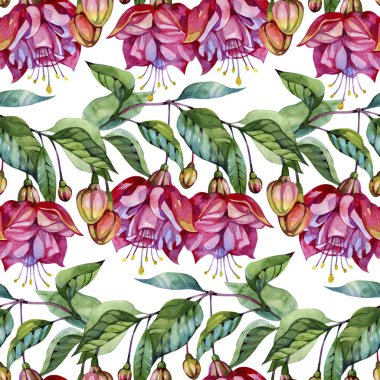 Fuşya çiçekli kusursuz çiçek deseni, suluboya çiçekli dijital kağıt. Botanik arka planı