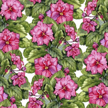 Saintpaulia çiçeklerinin kusursuz deseni. Çiçek bitkisel dijital kağıt.