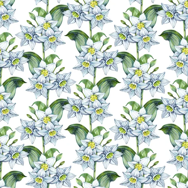 Daffodil Eucharis blossom seamless pattern. Hand drawn narcissus flowers. Soft floral for natural or romantic design, fabric, wrapping, paper dishes prints
