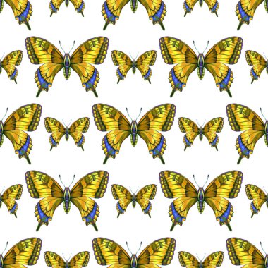 Sarı arka planda parlak kelebek babaları. Kalemlerle çizilmiş. Kumaş, eskiz defteri, duvar kağıdı, ambalaj kağıdı için.