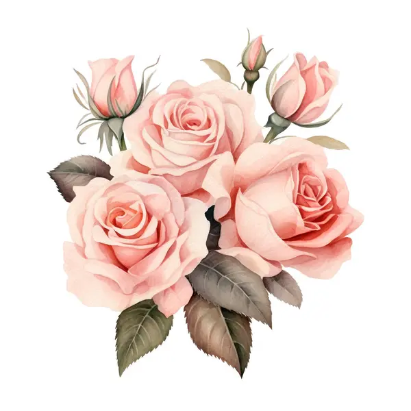 Рожеві Вінтажні Троянди Квіти Ізольовані Білому Тлі Акварельна Ілюстрація — стокове фото