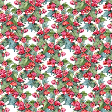 Suluboya dikişsiz sanat abutilon çiçekleri. Kusursuz desen, dijital kağıt, kumaş tasarımı, yüzey tasarımı.