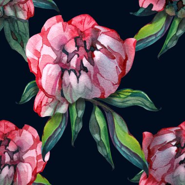 Nazik Yaz Çiçeksiz Şablon Burgundy Şakayık Çiçekleri Vintage Style, Botanik Tebrik Kartı, Beyaz Arkaplan Resimleri