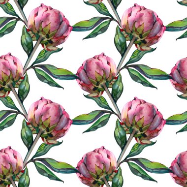 Beyaz Arkaplanda Pembe Şakayık ve Güller, Beyaz Arkaplanda Resimler.