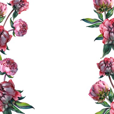 Şakayıklı suluboya çiçek çerçevesi, tasarım için arkaplan