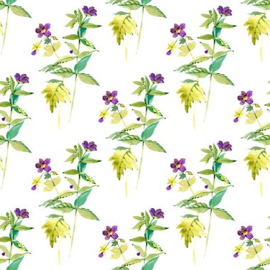 Kuzey Amerika Yaban Çiçeği Virginia Çayır Güzeli Rhexia Virjinica kusursuz desen