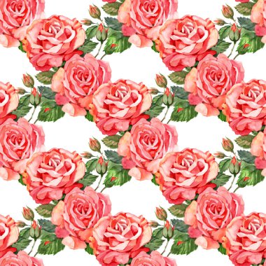 Pembe gül ve çiçekli suluboya desenli suluboya çiçek deseni. Kırsal vintage tarzı, tekstil veya duvar kağıtlarında suluboya baskısı.