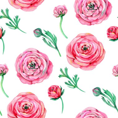 Pembe ranunculus ve yeşilimsi suluboya desenleri. Çiçekli suluboya baskısı.
