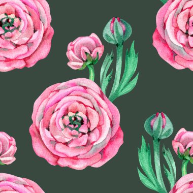 Ranunculus düğün çiçeği. Pembe çiçekli ve Ranunculus tomurcuklu kusursuz çiçek deseni. Resim beyaz arkaplanda izole edildi