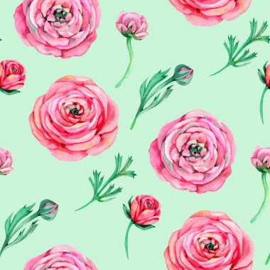 Ranunculus Kusursuz Düzen. Suluboya çizimi. Yeşil Arkaplan ranunculus dijital kağıt ilkbahar yeşilliği.