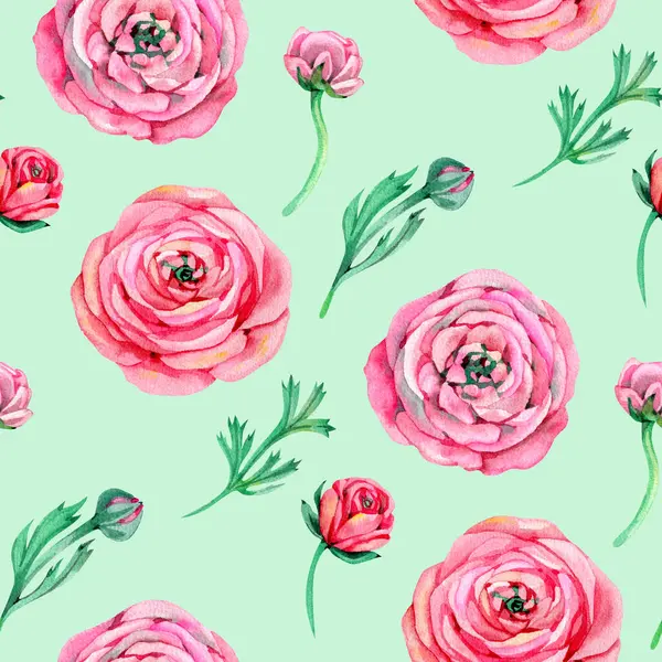 Ranunculus Kusursuz Düzen. Suluboya çizimi. Yeşil Arkaplan ranunculus dijital kağıt ilkbahar yeşilliği.