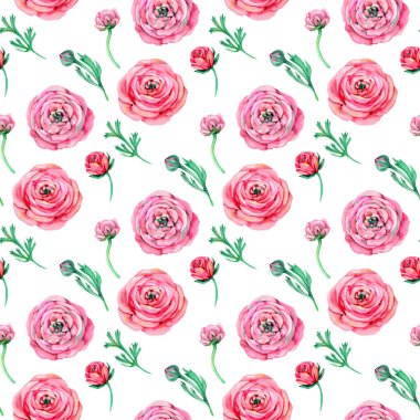 Ranunculus düğün çiçeği. Pembe çiçekli ve Ranunculus tomurcuklu kusursuz çiçek deseni. Resim beyaz arkaplanda izole edildi