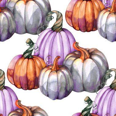 Sonbahar hasadından kalan pürüzsüz sade turuncu ve gri balkabakları bayram sembolü olarak kullanılıyor. Çiftlik sağlıklı yiyecekler. Cadılar Bayramı için süsleme, Şükran Günü. Suluboya Clipart.